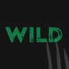 Wild Casino - Jump & Win icon