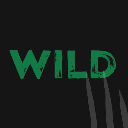 Wild Casino - Jump & Win