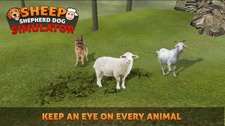 Sheep Herding Dog Simulator screenshot-3
