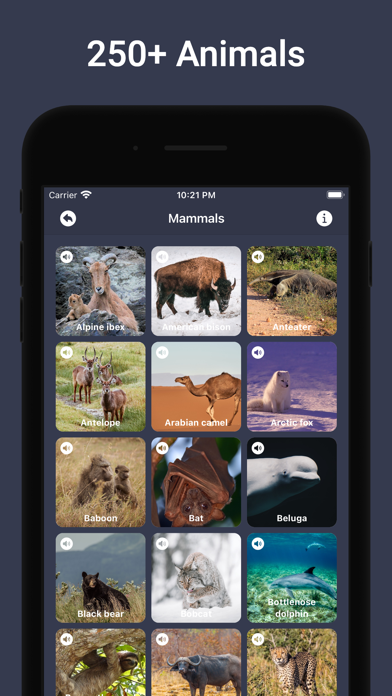 Animal Sounds & Bird Noises Screenshot