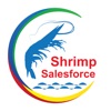 Shrimp Sales Force