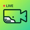 Whale: Wild & Video Chat icon