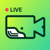 Whale: Wild & Video Chat - Rodrigo Osorio