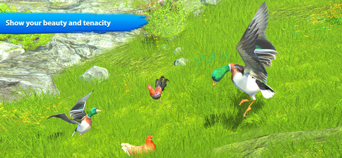 Flying duck family simulator