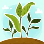 Plant Growth 3D App Cancel