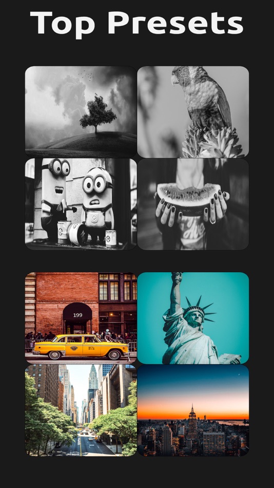 #4. Photo Presets & Filters Pro (iOS) بواسطة: The Anode Group