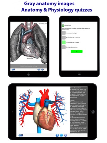 Visual Anatomy Liteのおすすめ画像9