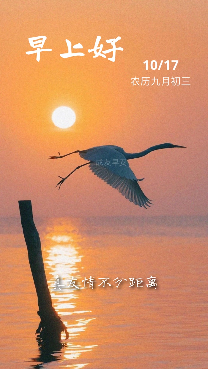 ChengYou Good Morning