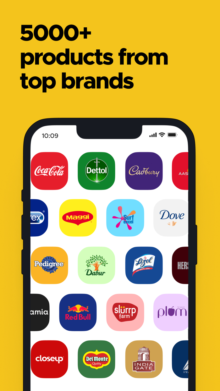 Blinkit Grocery in minutes