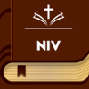 NIV Study Bible - Holy Version - Ramana Gangesh