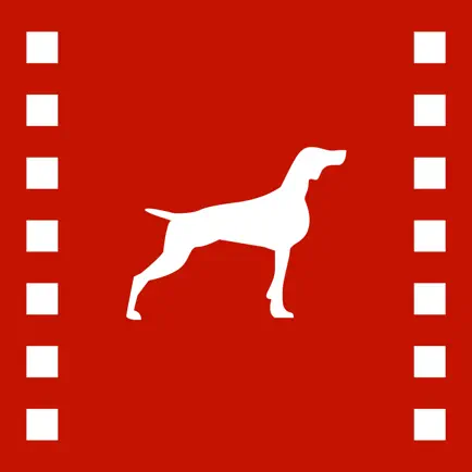 Legion M Film Scout Читы