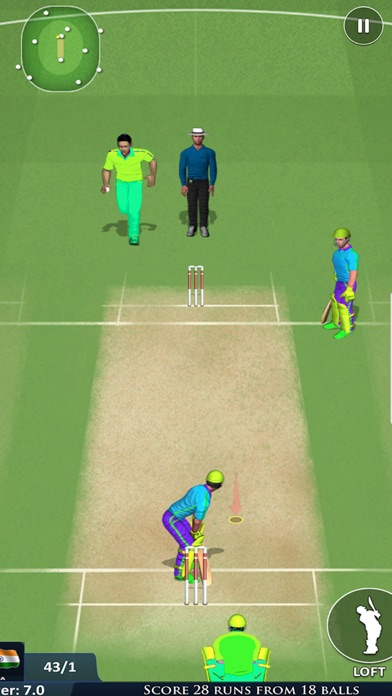 Play Live Cricket Game Screenshot