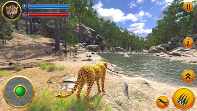 Wild Cheetah Family Simulator Screenshot