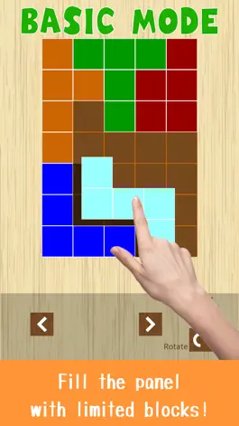 Game screenshot THE BLOCK PUZZLE - POLYOMINO apk