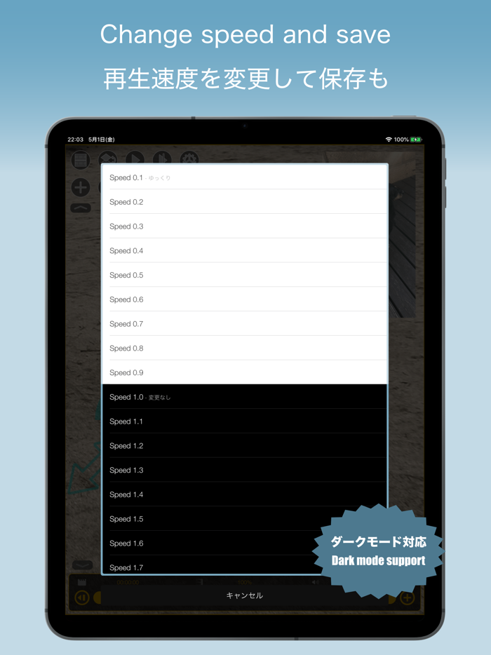 MultiVideo -SideBySide Overlap