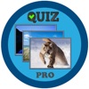 Word Picture Games Pro icon