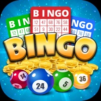 Bingo Bonanza: Big Win!
