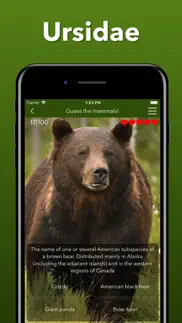 animals kingdom: zoo wild quiz iphone screenshot 4