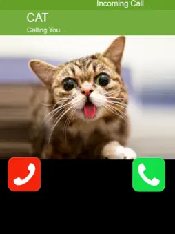 Call Cat 2 screenshot 8