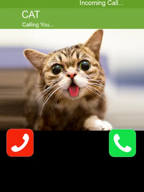 Call Cat 2
