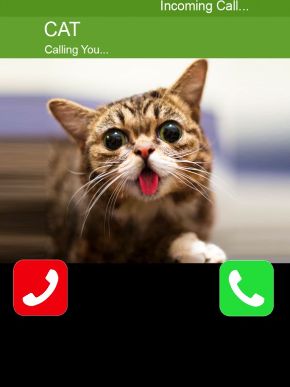 Screenshot #6 pour Call Cat 2