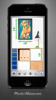 ruler® iphone screenshot 3