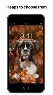 dogs wallpapers 4k hq notch iphone screenshot 2