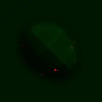 A Nanobot
