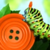 Bugs and Buttons 2 icon