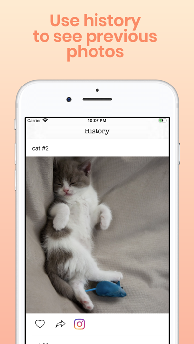 Daily Cute Cats Photos Screenshot