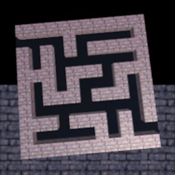 3D Maze of brick walls