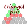 Triangel Pro