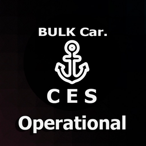 Bulk carrier. Operational CES