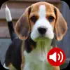 Dog Sounds Ringtones App Delete