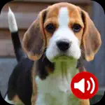 Dog Sounds Ringtones App Contact