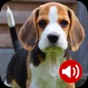 Dog Sounds Ringtones app download