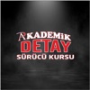 Akademik Detay Sürücü Kursu icon