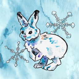 Winter by Jen Tracy
