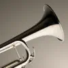 iFretless Brass contact information