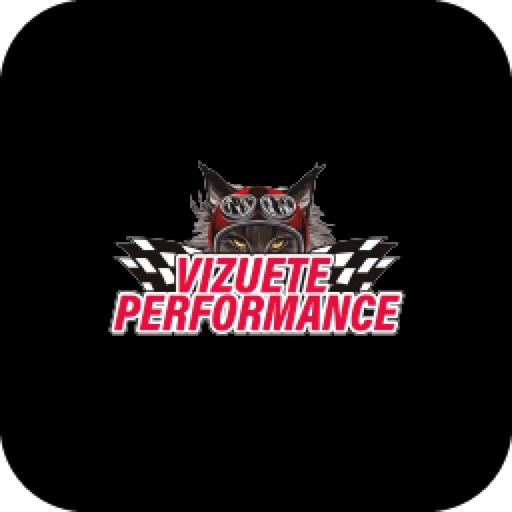 Vizuete Performance