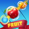 Fruit Shoot - Endless Edition icon