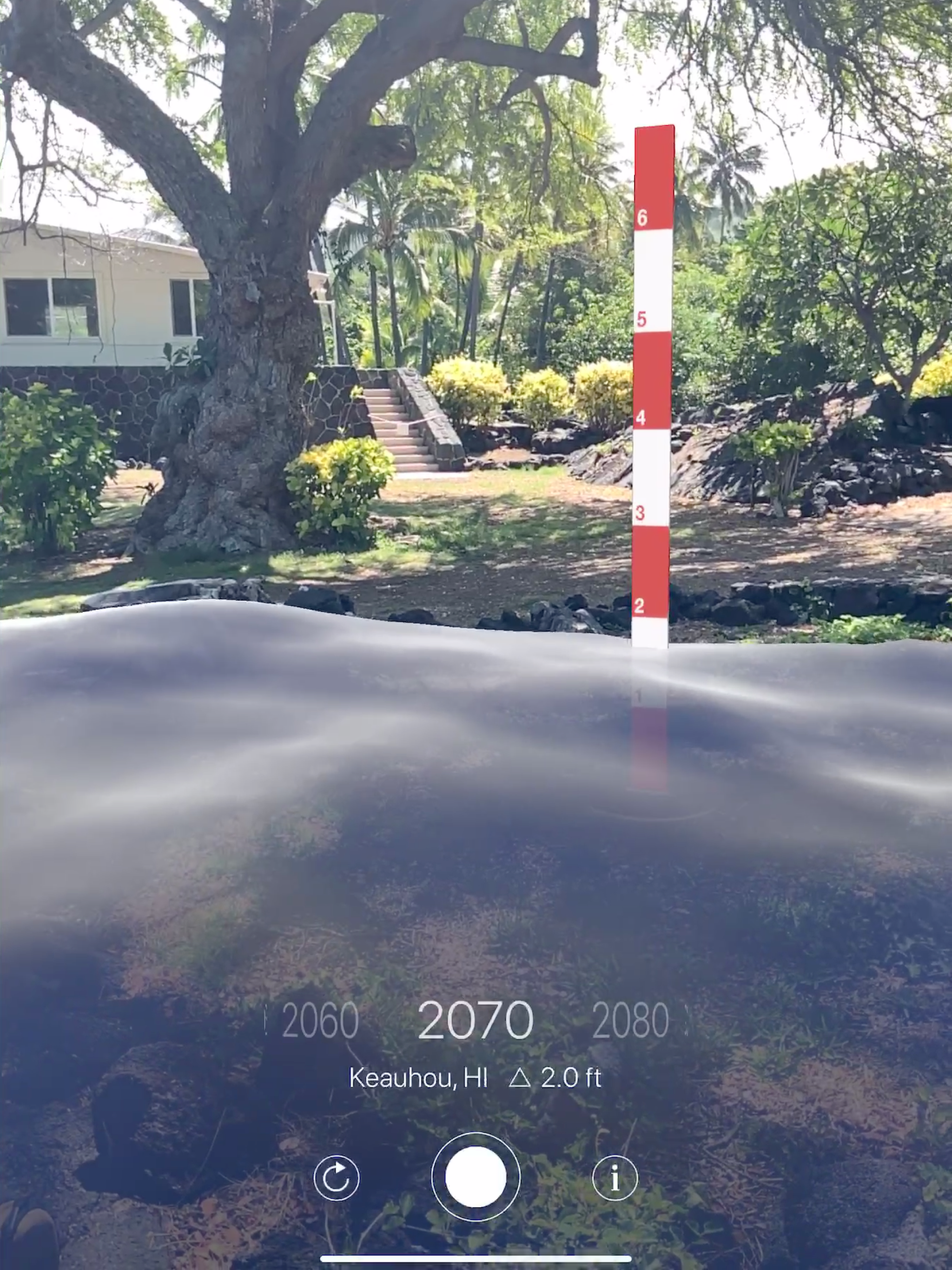 Sea Level Check