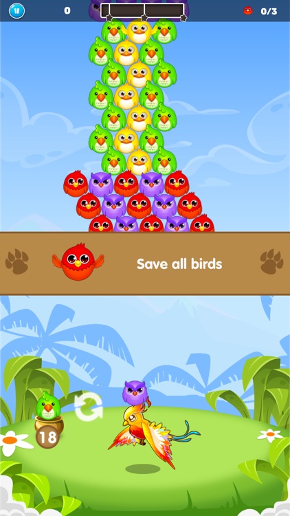 Bird Frenzy screenshot-3