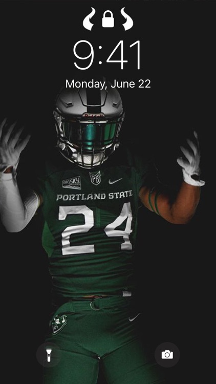 Football Wallpaper · screenshot-5
