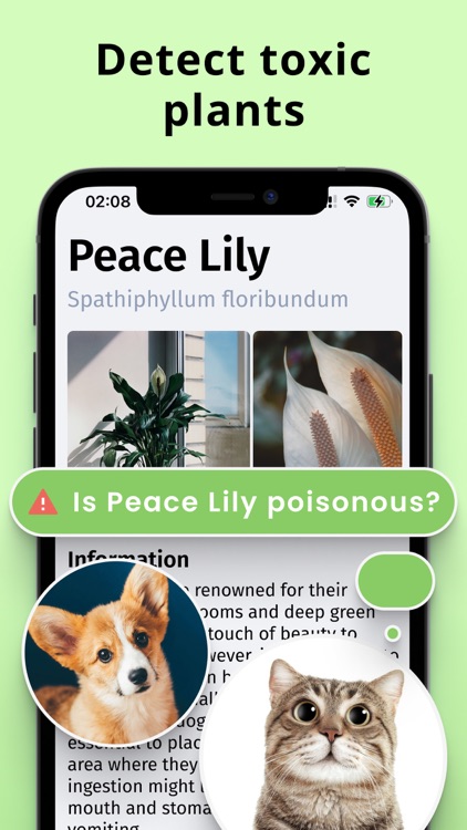 Plantion - Plant Identifier screenshot-4