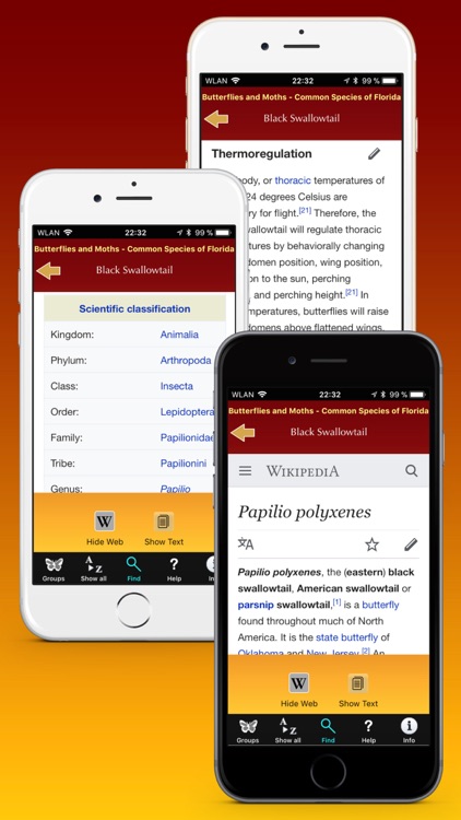 Southern Florida Butterflies screenshot-4