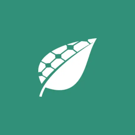 Soliens Читы