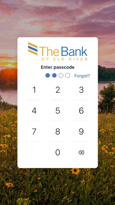 The Bank of Elk River Screenshot