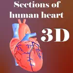 Sections of human heart App Contact