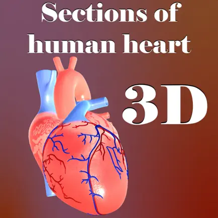 Sections of human heart Читы